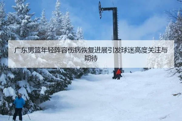 广东男篮年轻阵容伤病恢复进展引发球迷高度关注与期待